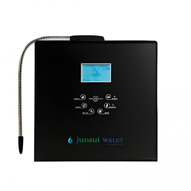 Junsui1309 5th GENERATION ADVANCE IONIZER